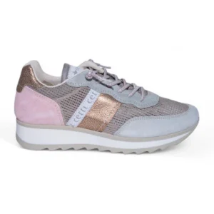 Cetti-849