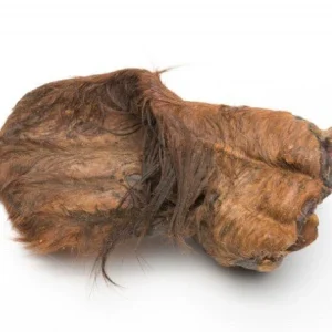 Oreja de buey con pelo